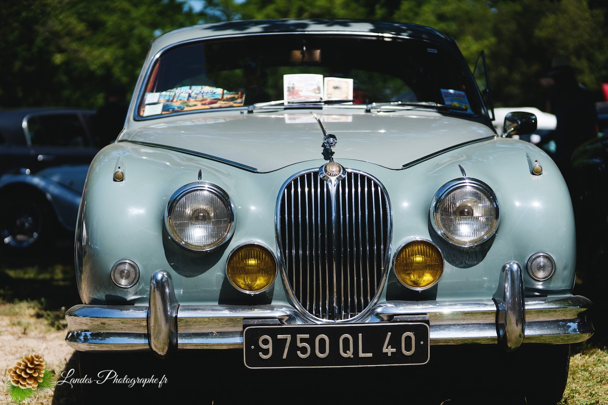 🚗  Les 10 ans du Club Loun Rétro : Patrimoine Roulant au Bord du Lac de Léon